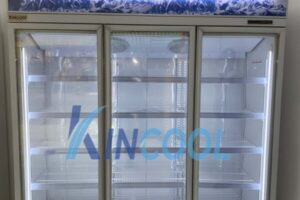 Mẹo Bảo Quản Thực Phẩm Trong Tủ Mát Công Nghiệp