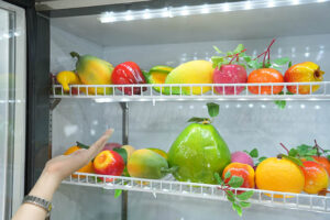 Tủ Mát Bảo Quản Hoa Quả – Giải Pháp Bảo Quản Hiện Đại Cho Trái Cây Tươi