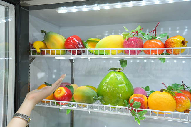 Tủ Mát Bảo Quản Hoa Quả – Giải Pháp Bảo Quản Hiện Đại Cho Trái Cây Tươi