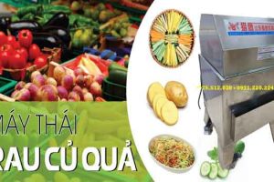 Cấu tạo, Chức Năng Và Nguyên Lý Hoạt Động Của Máy Thái Củ Quả Đa Năng Công Nghiệp