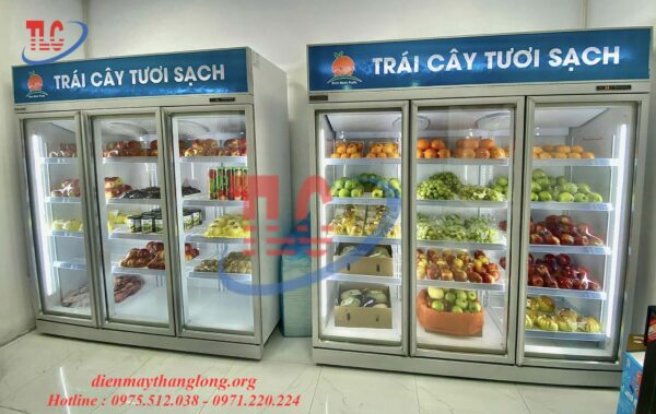 Tủ trưng bày hoa quả